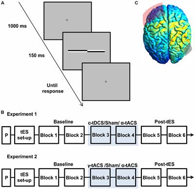 Inconsistent Effects of Parietal α-tACS on Pseudoneglect across Two Experiments: A Failed Internal Replication